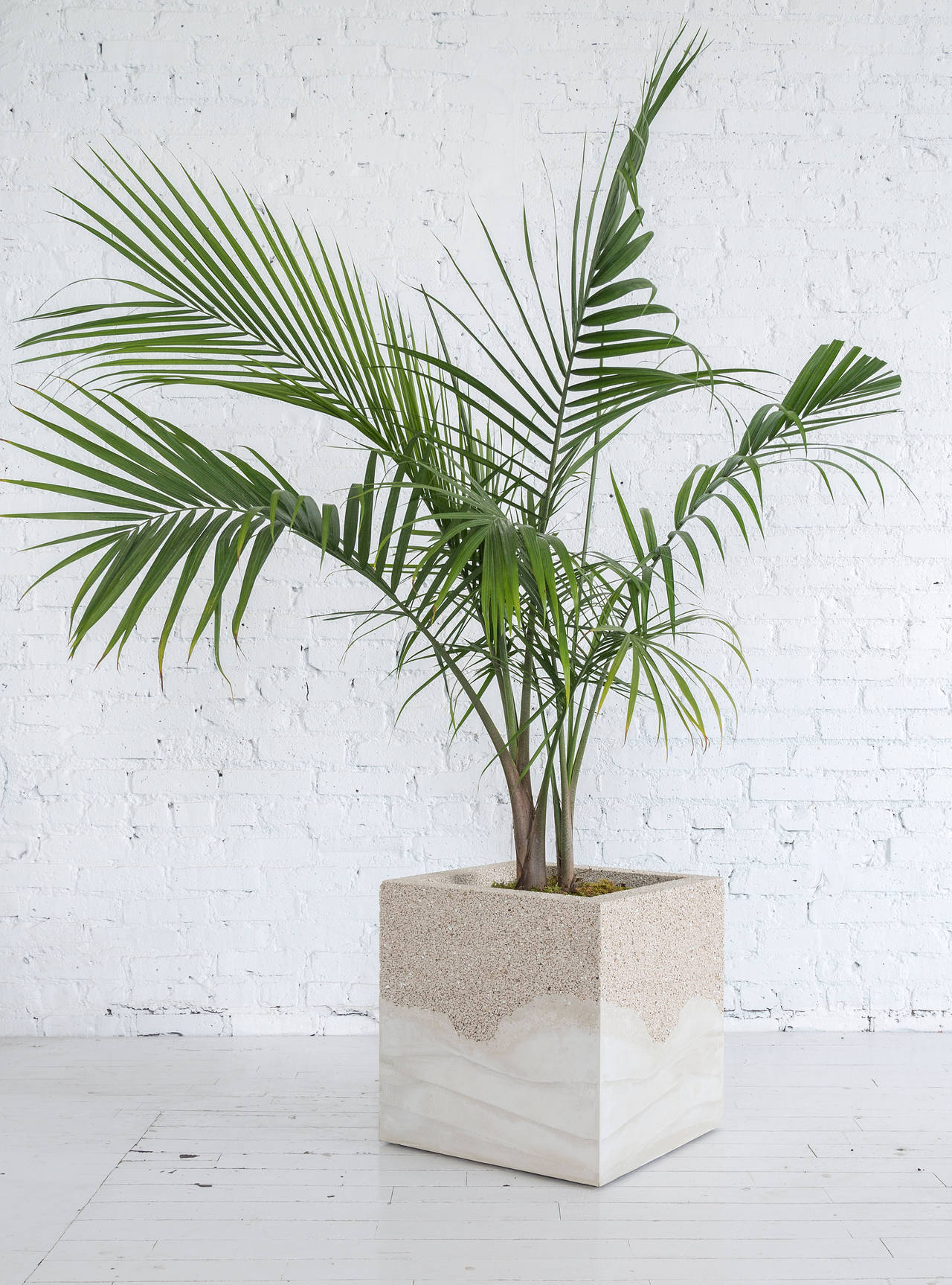 Modern Crushed Porcelain and Cement Planter by Fernando Mastrangelo For Sale