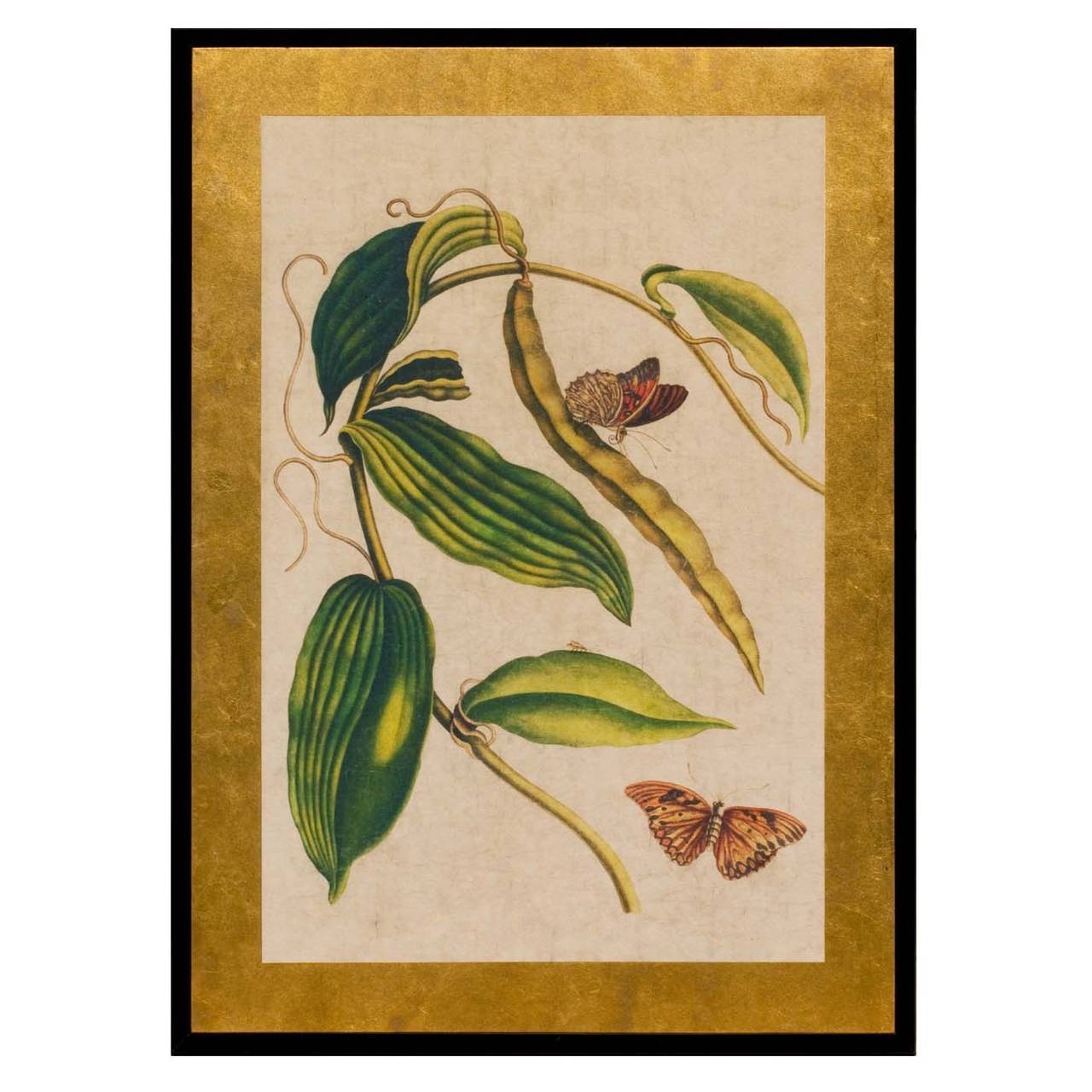 Set of Four Botanical and Bird Panels