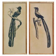 Pair of Hand-Painted Rice-Paper Panels of Birds of Paradise