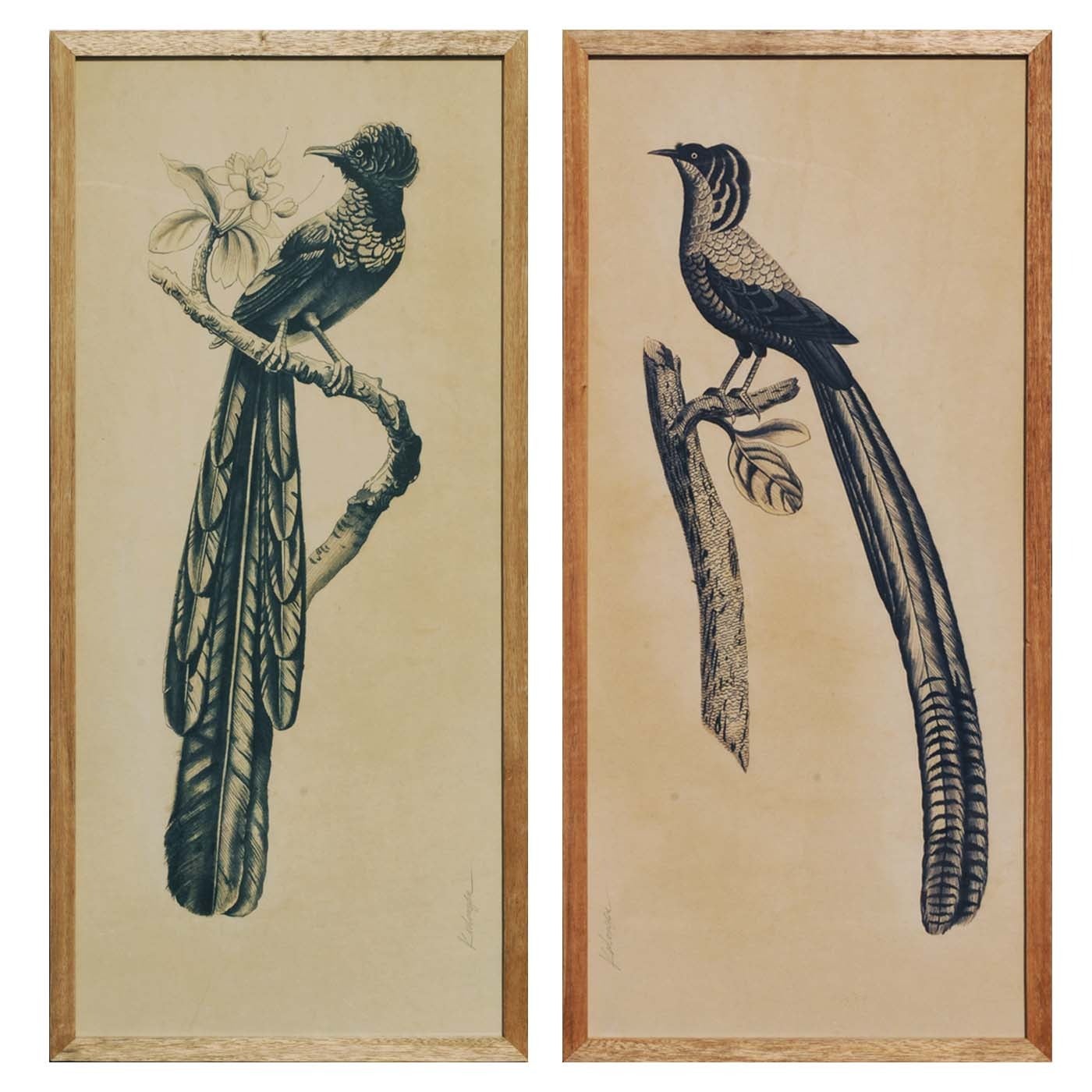 Pair of Hand-Painted Rice-Paper Panels of Birds of Paradise For Sale