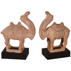 Pair of Tang Dynasty Style Pottery Camels