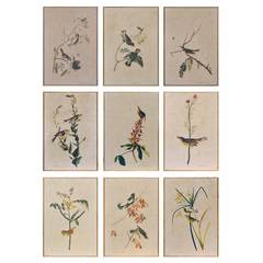 Set of Nine Rice-Paper Panels with Birds and Plants