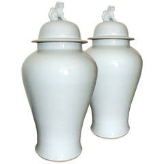 Large Pair of Meiping Shape Vases and Covers with Fo-Lion Finials