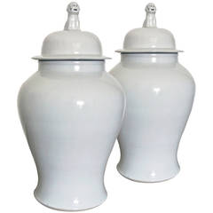 Large Pair of Meiping Shape Vases and Covers with Fo-Lion Finials