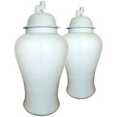 Very Large Pair of Meiping Shape Vases and Covers with Fo-Lion Finials