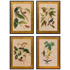Set of Four Botanical and Bird Panels