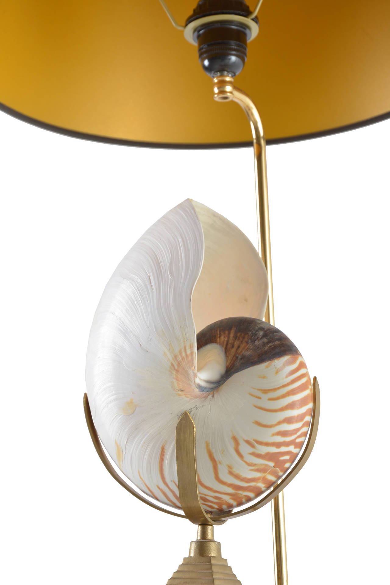 Large nautilus and brass table lamp in the manner of Willy Daro, circa 1970.