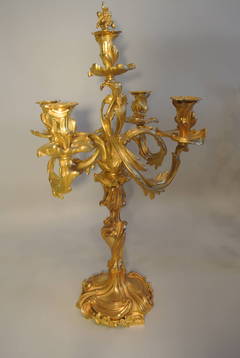 Pair of Candlesticks, 19th Century, Gilt Bronze and Carved
