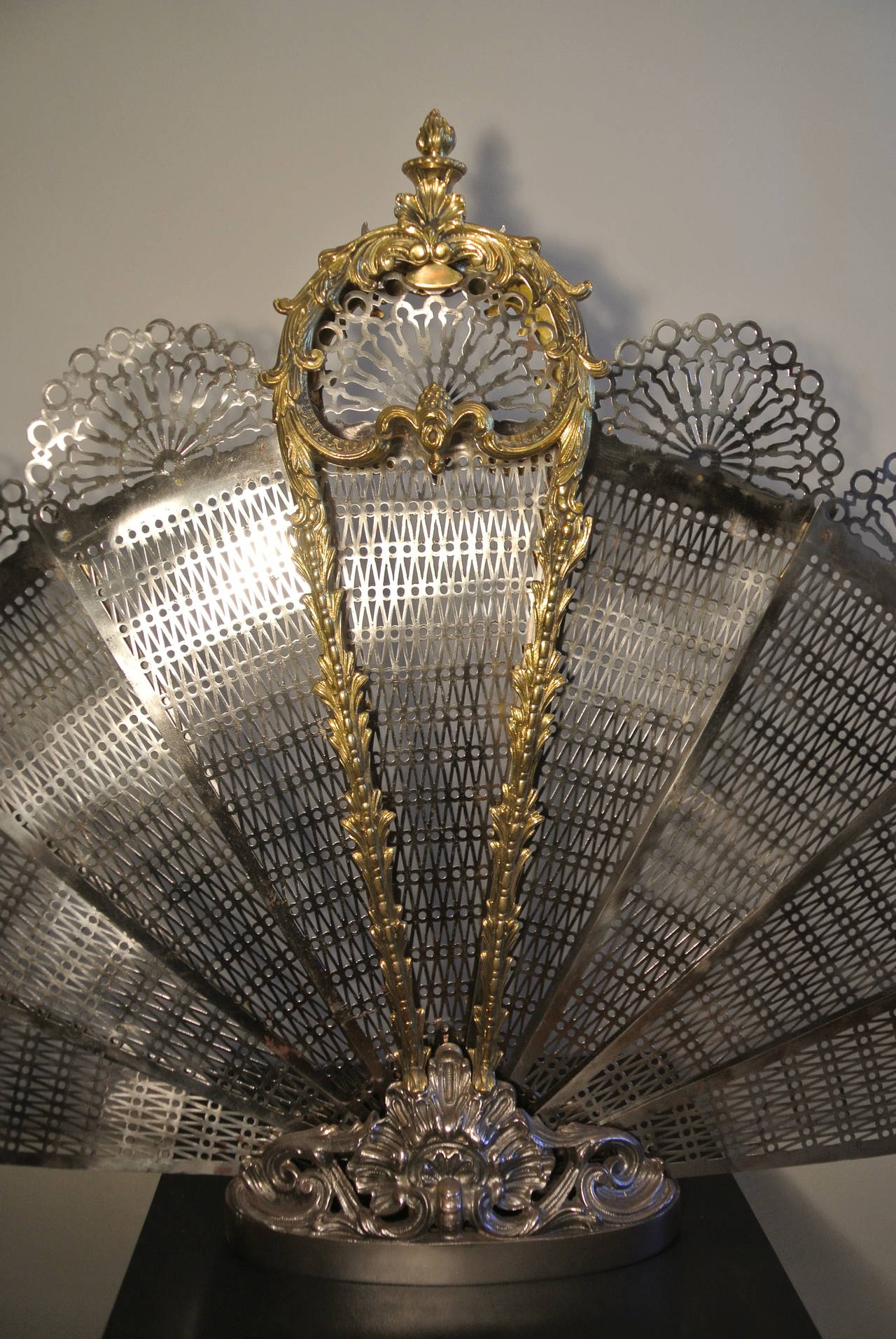 19th Century Exceptional Bronze and Iron Fire Place Screen in a Peacock Fan Design