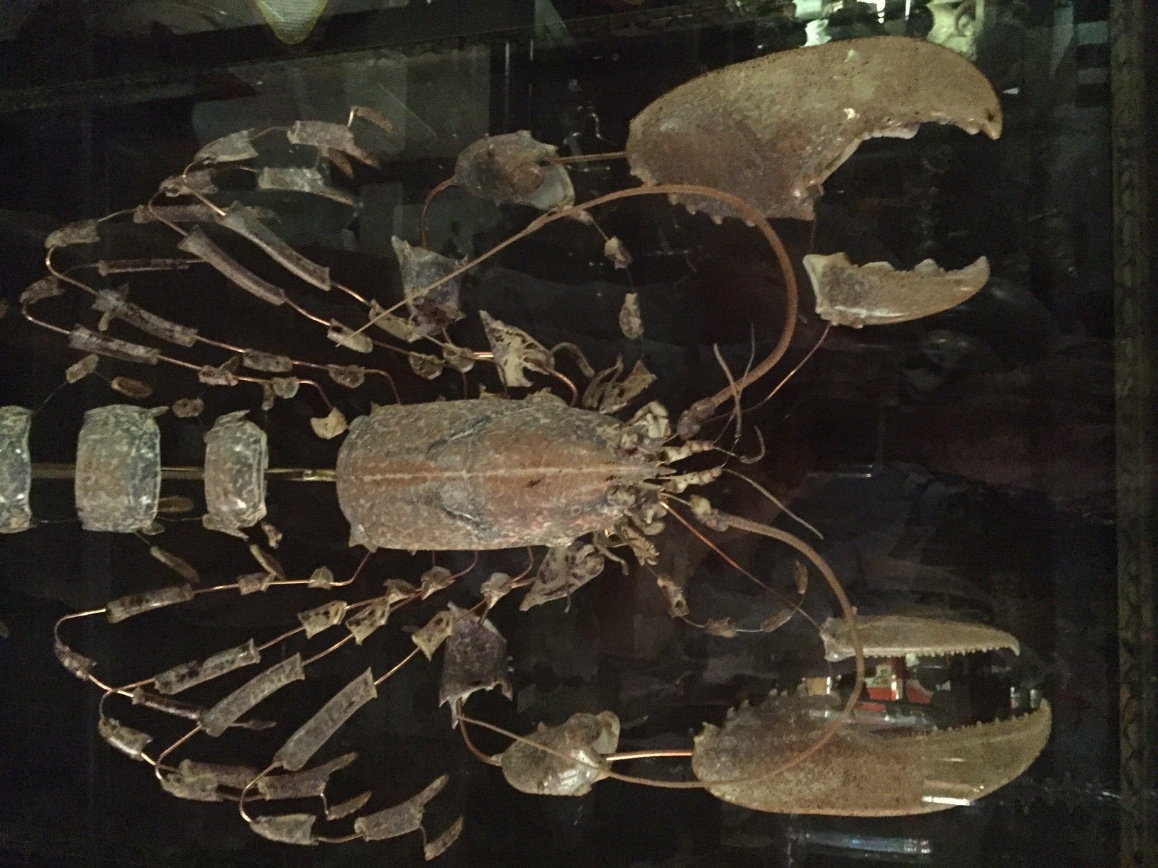 Patinated Large French Deconstructed Clawed Lobster Sculpture in a Glass and Brass Case 