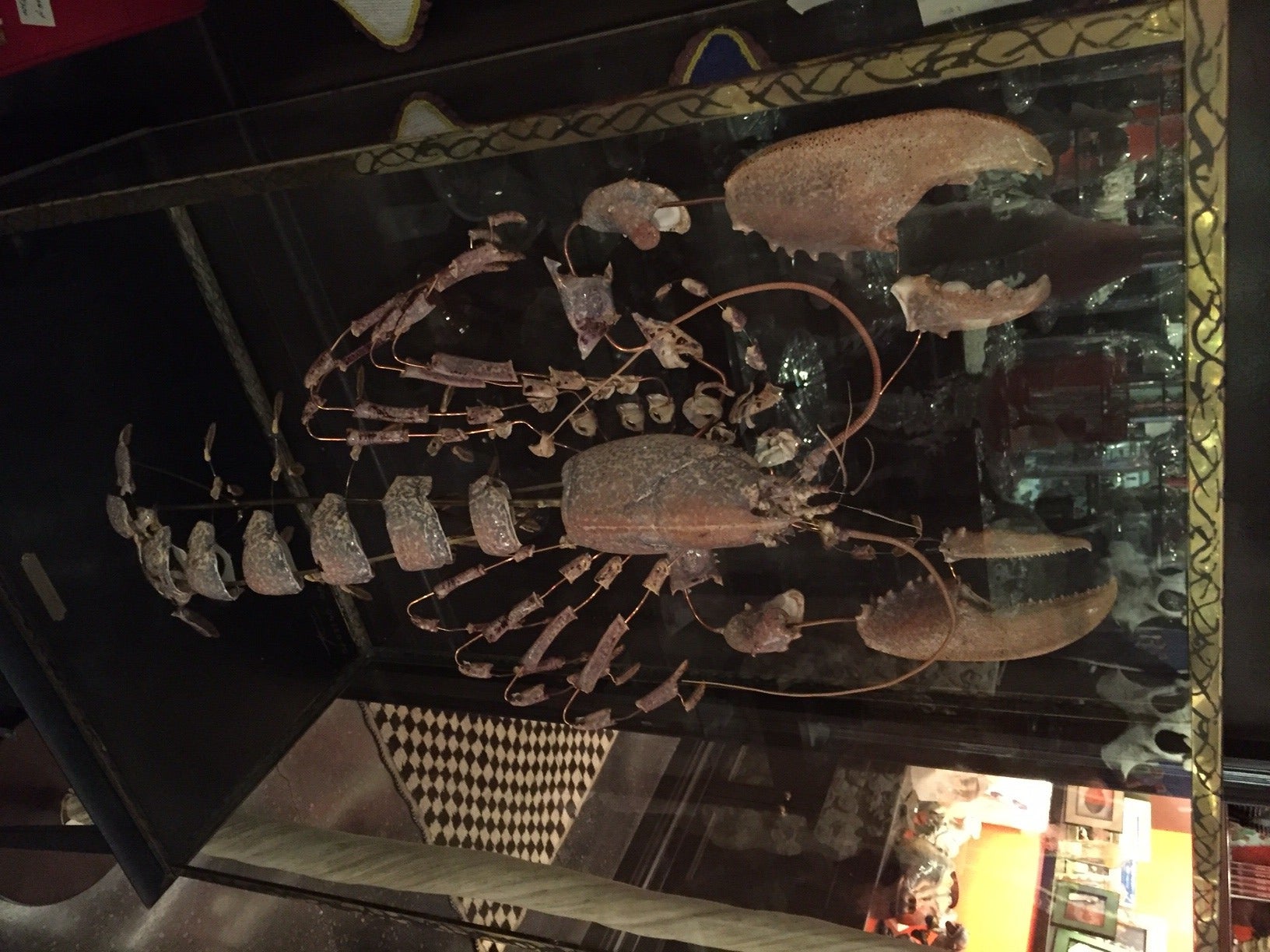 Very large deconstructed clawed lobster mounted on a wooden, black painted base with a patinated brass and glass display case 37