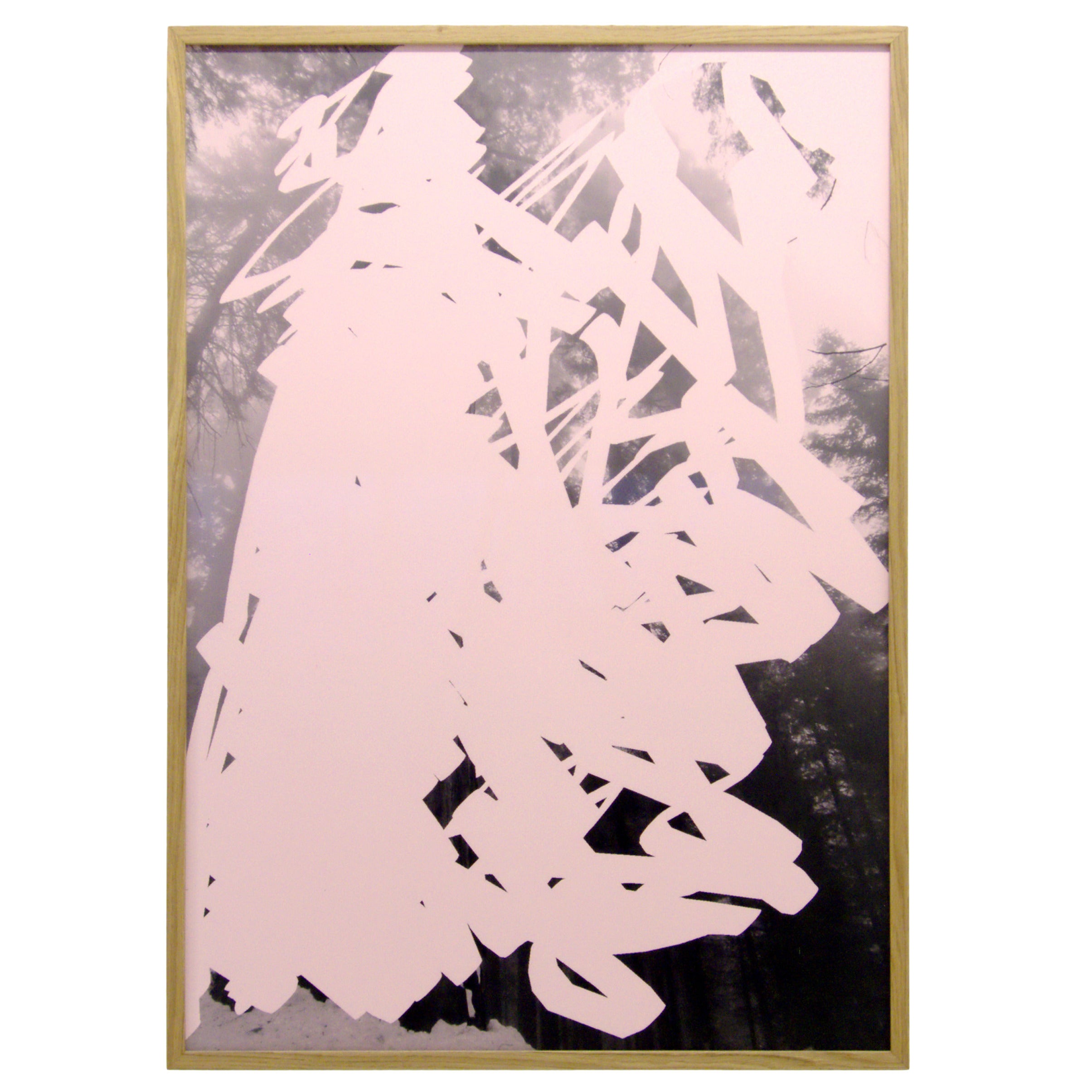 Large Print by Tine Semb