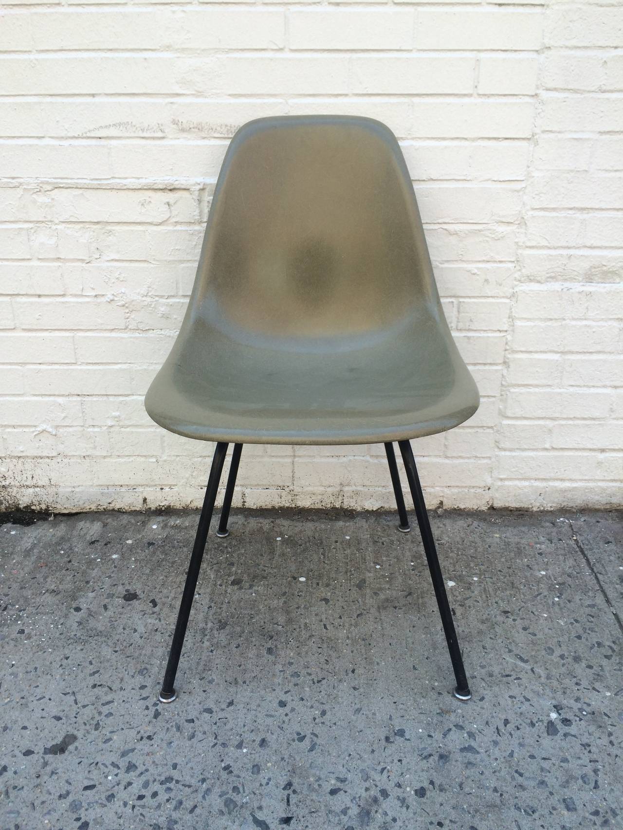 eames raw umber