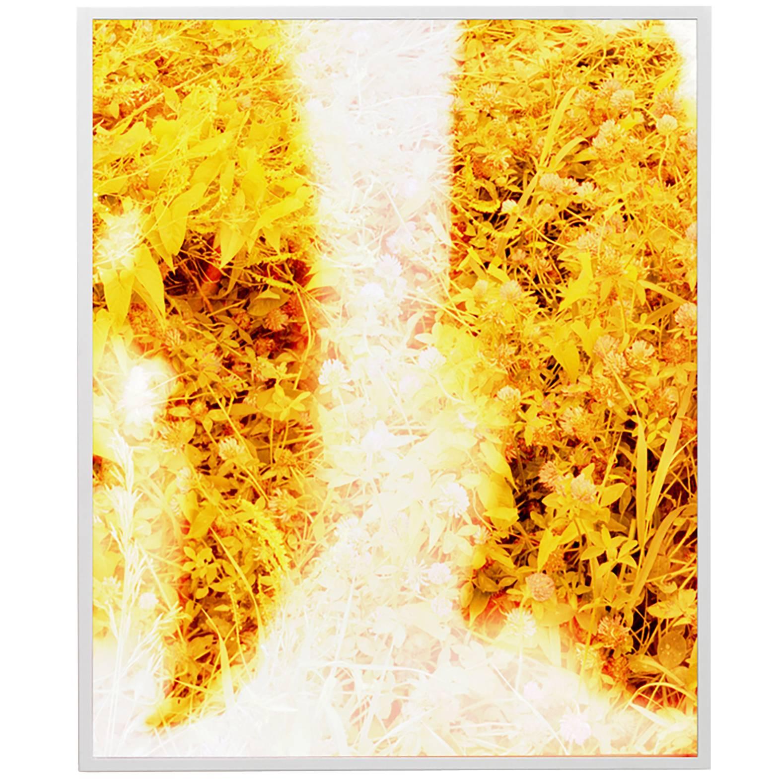 Archival pigment print edition of 3. Measures: 14″ x 11.5″.

Biography.
Tealia Ellis Ritter was born in Illinois and currently lives and works in rural Connecticut. Ellis Ritter views photography as an experimental process, utilizing varying
