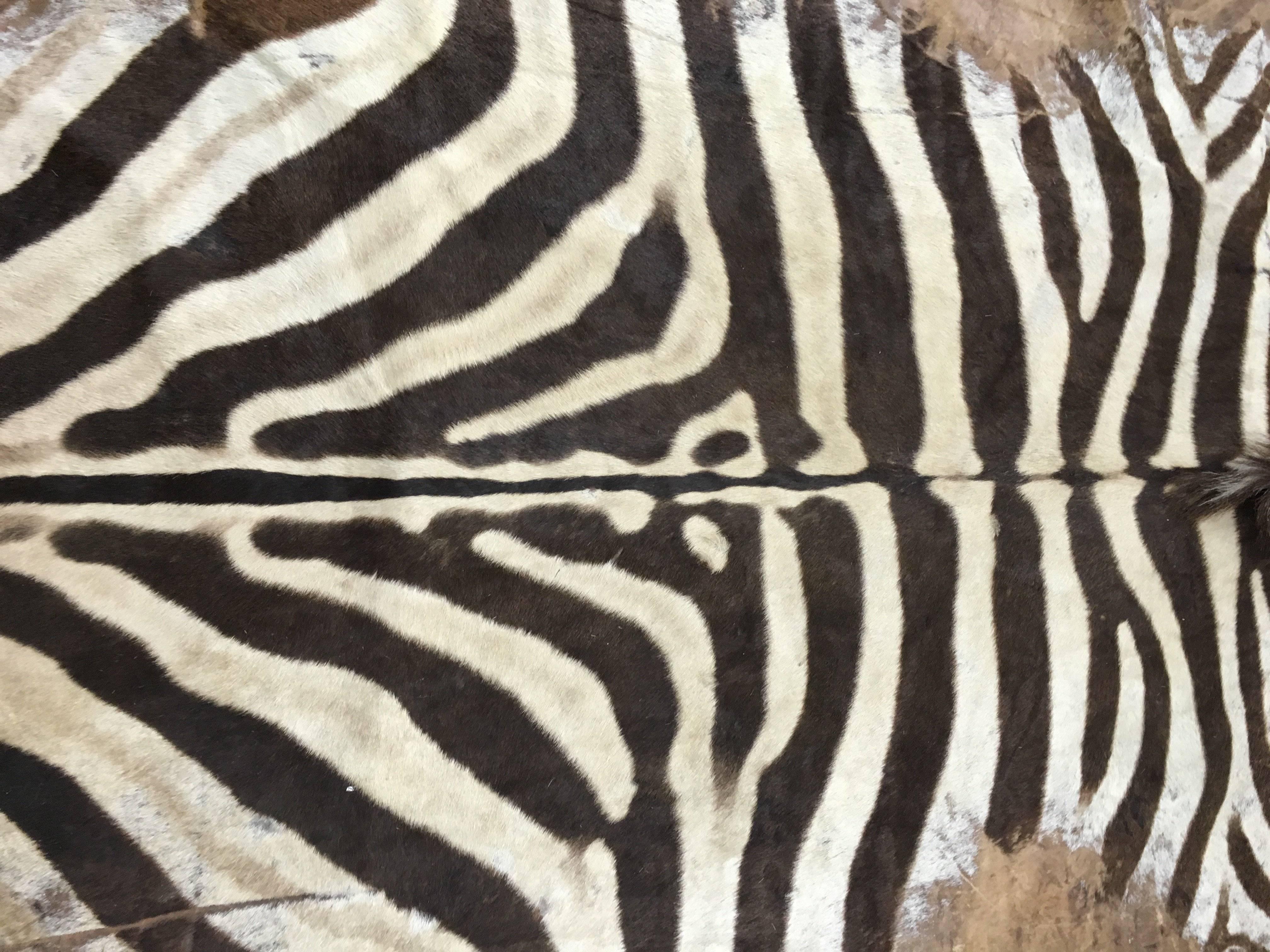 Mid-Century Modern Vintage Zebra Hide Rug