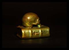 Memento Mori Skull on Bible