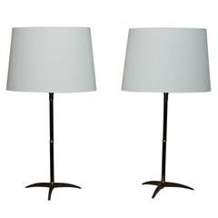 Pair of Gunmetal Patinated Lamps by Bagues
