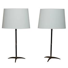 Pair of Gunmetal Patinated Lamps by Bagues 12