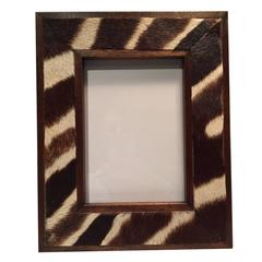 Burchell's Zebra Skin and Mahogany Wood Frame 