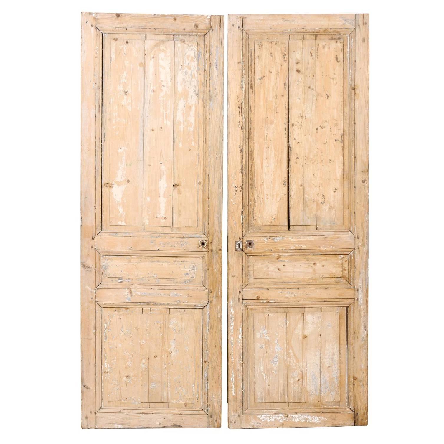 Pair of French 19th Century Wooden Doors