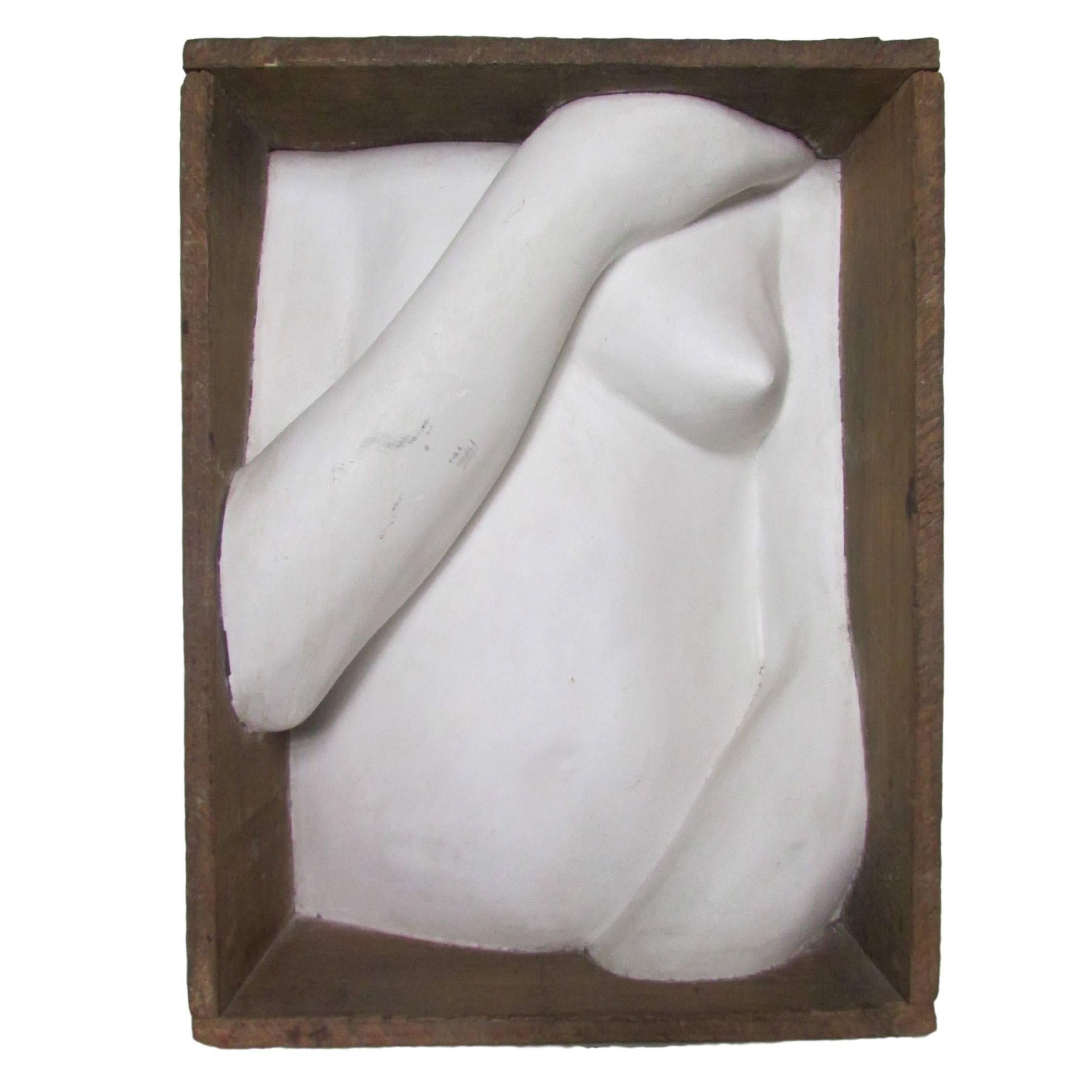 Plaster Female Bust in a Box