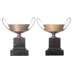 Pair of French 19th Century Bronze Tazza Style Urns