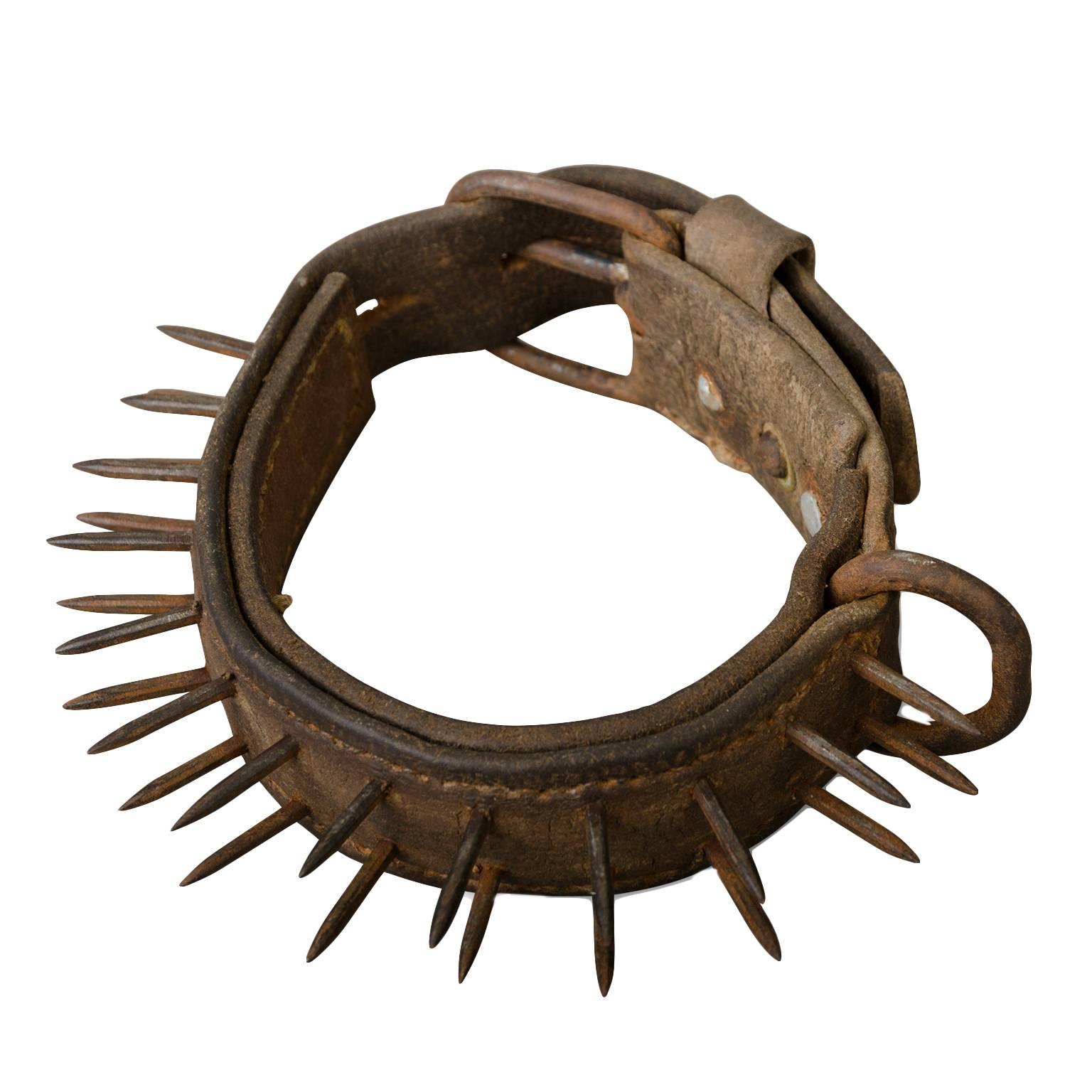 Late 19th Century Mastiff Collar so called "anti wolf"