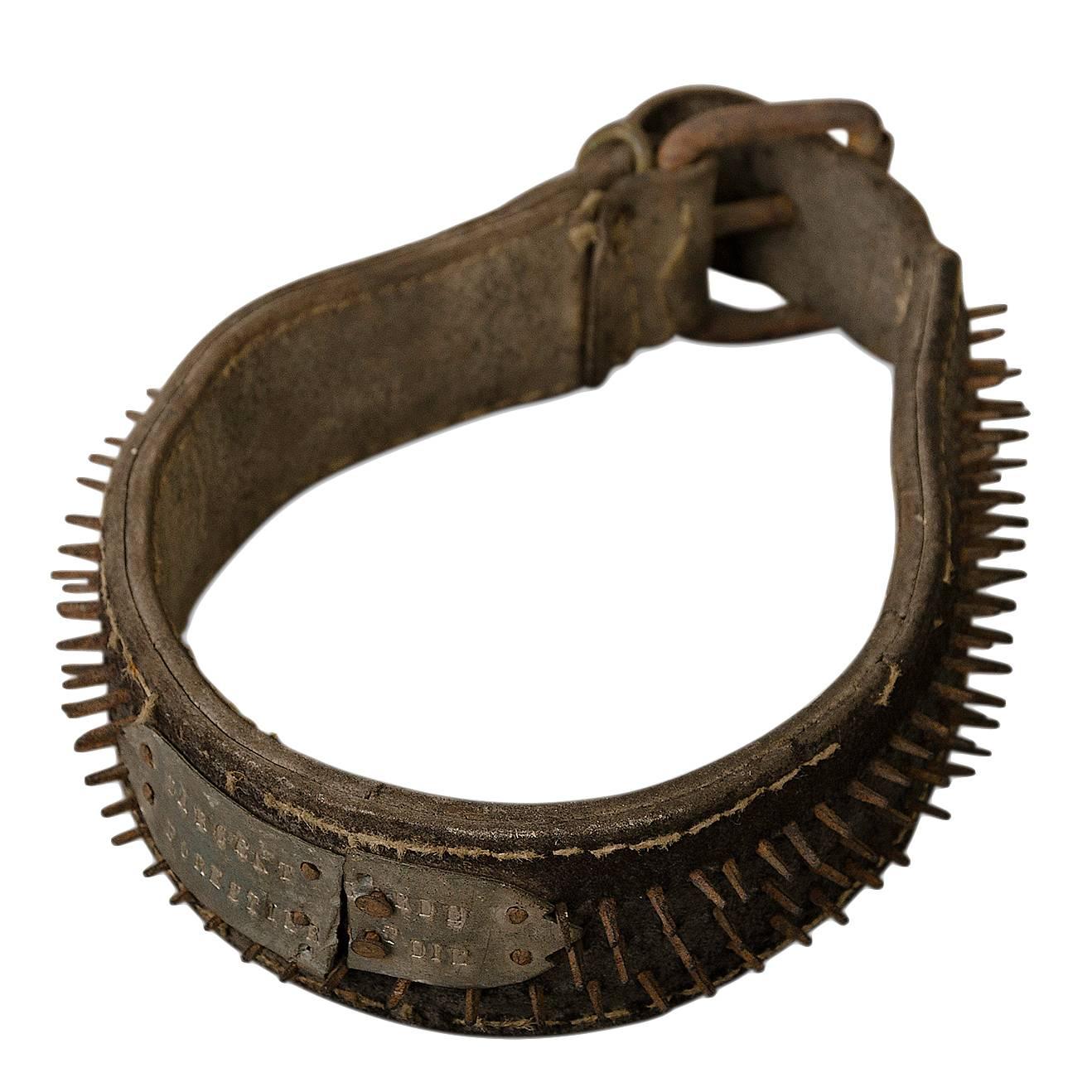 Late 19th Century Mastiff Collar in Leather For Sale