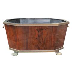 19th Century Fine Rosewood Cellarette with Bronze Paw Feet 2