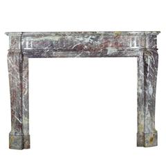 19th Century Louis XVI Style Fireplace Mantel in Violet Marble 10