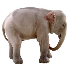 Royal Copenhagen Figurine Young Elephant # 501