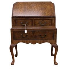 Small Antique Burr Walnut Bureau