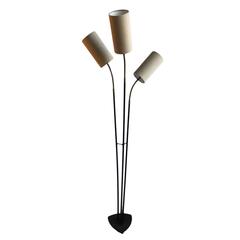 Danish Mid-Century Floorlamp, Three Headed Gooseneck