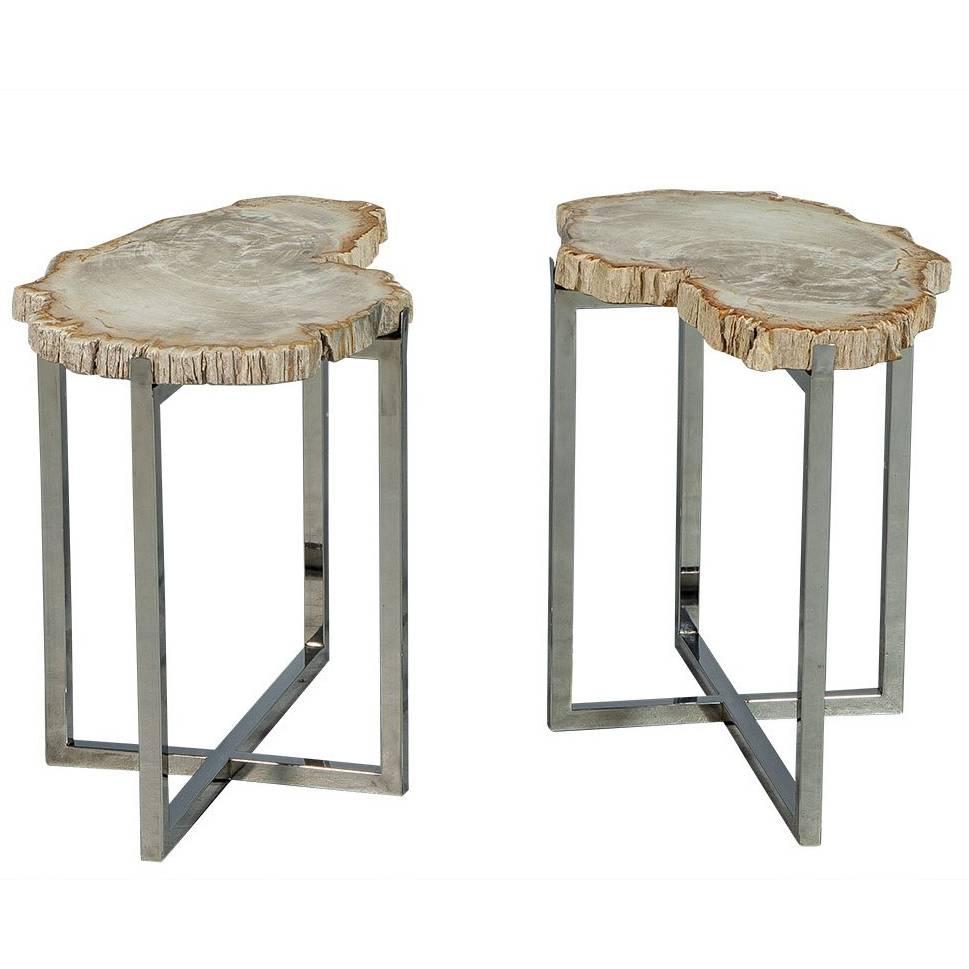Pair of Petrified Wood Accent Tables