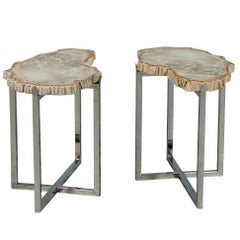 Pair of Petrified Wood Accent Tables