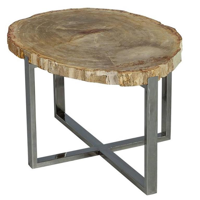 Petrified Wood Accent Table at 1stDibs