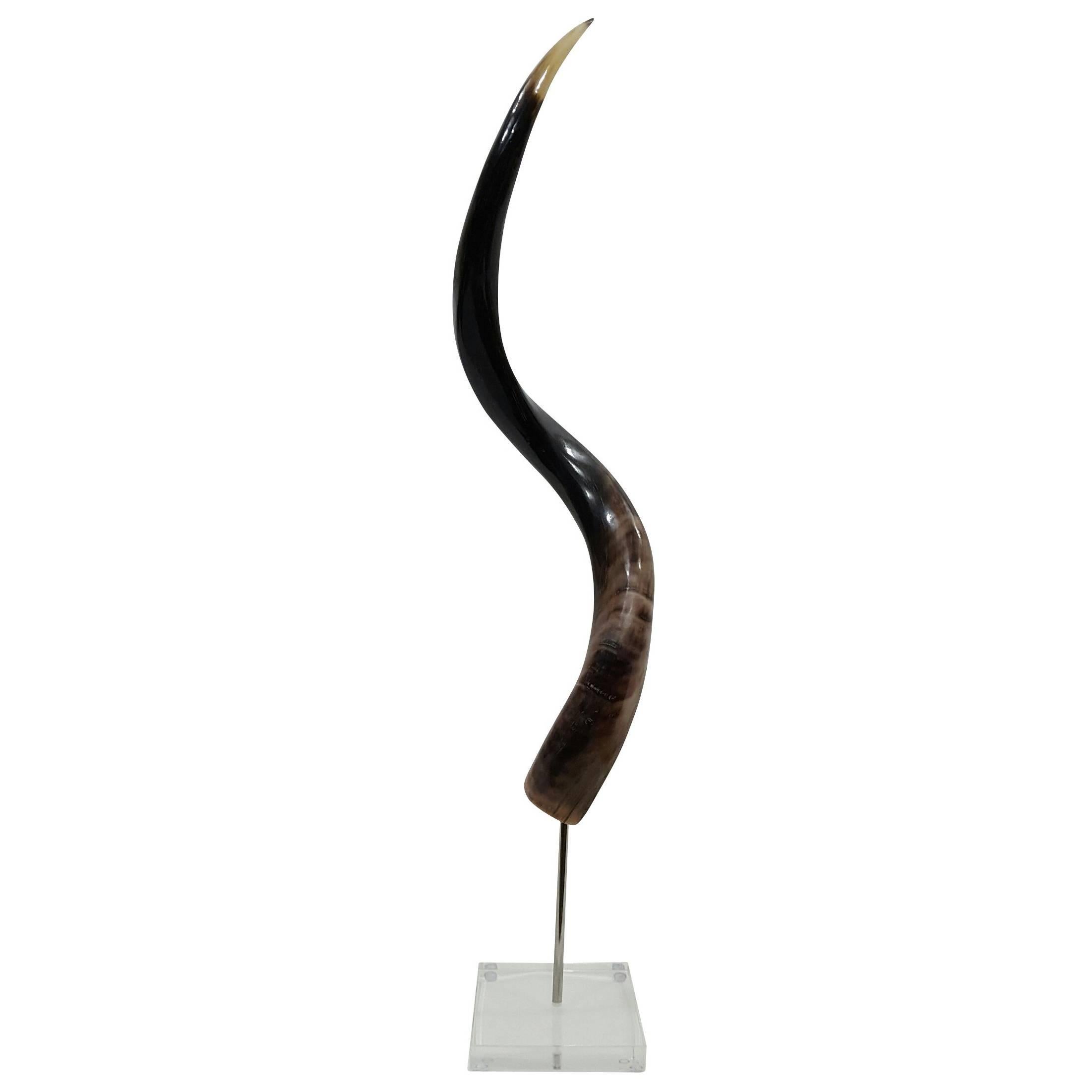 Kudu Horn on Acrylic Stand For Sale