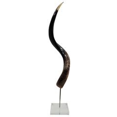 Kudu Horn on Acrylic Stand