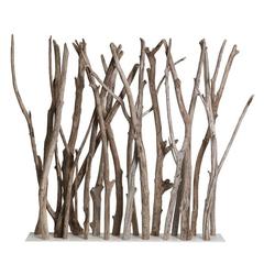 Driftwood Screen Straight on Inox Base 7