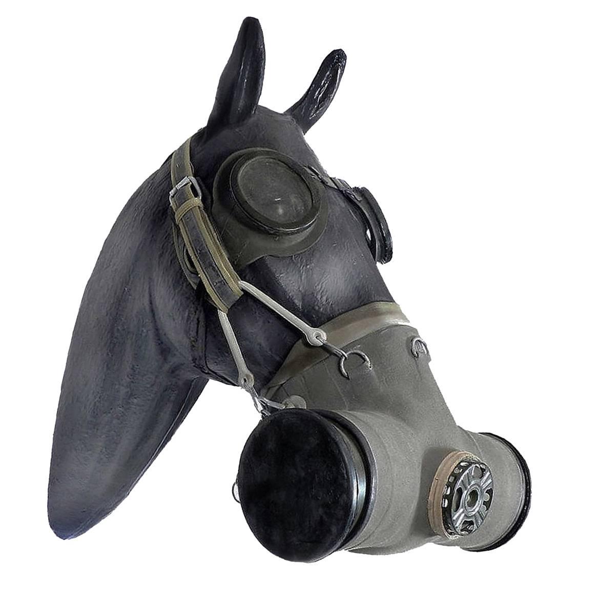 Rare Russian Horse Gas Mask with Coverall at 1stDibs | russian gas masks,  russian mask, russian gasmask