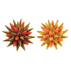 Tiffany & Co. Pair of Coral Gold Brooches 