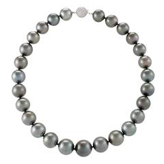 Silver Tahitian Pearl Necklace 10