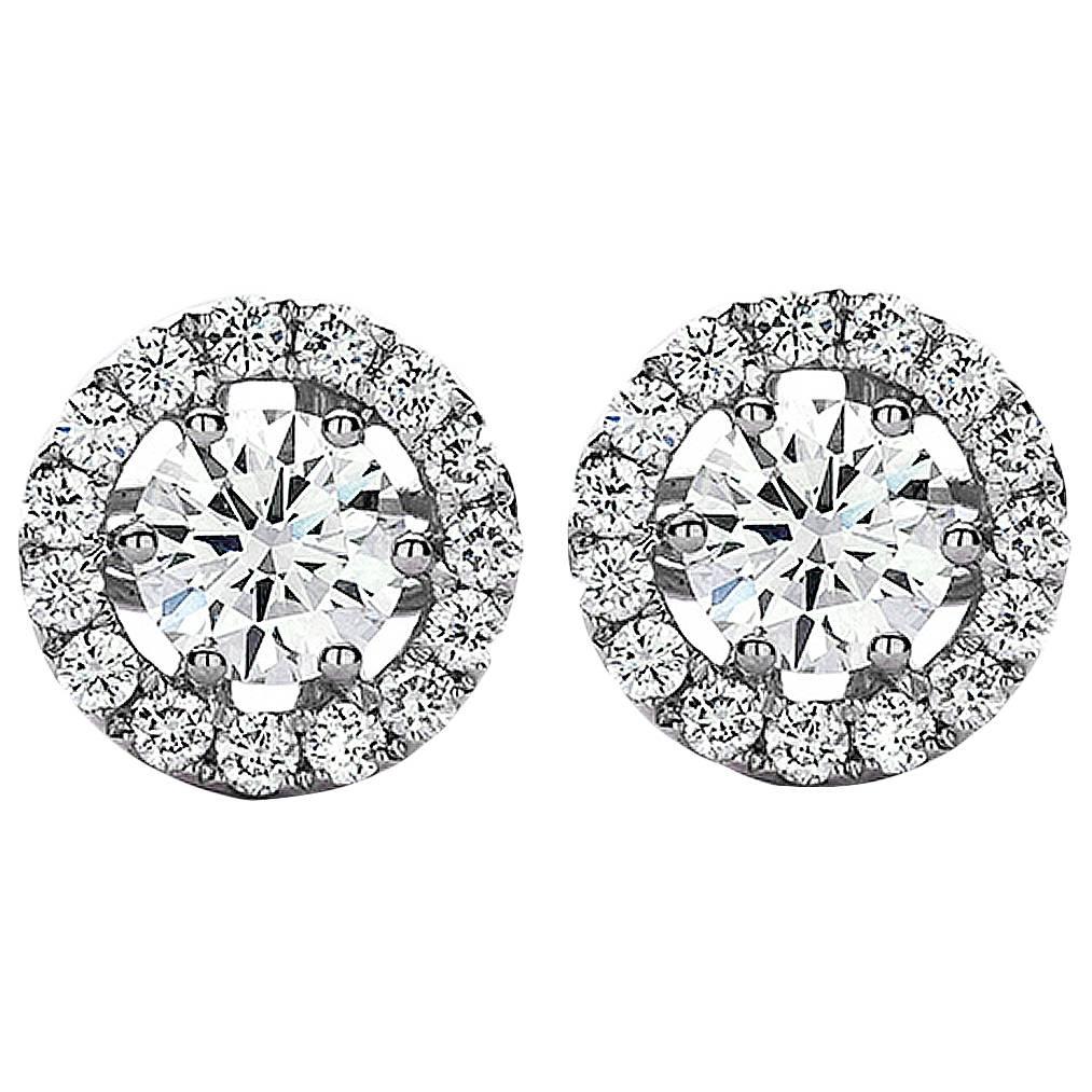 Round Diamond Halo Gold Stud Earrings For Sale