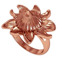 Barbara Nanning & Sparkles Gold Ring