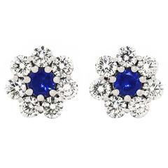 Lawrence Jeffrey Sapphire Diamond Platinum Fleurette Earrings