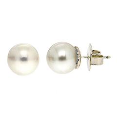 South Sea Pearl Stud Earrings in White Gold 12