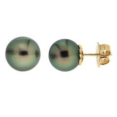 Tahitian Pearl Stud Earrings in Yellow Gold 4