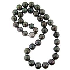 Spectacular Tahitian Pearl Necklace 
