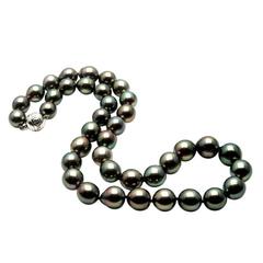 Mikimoto Tahitian Black South Sea Pearl Gold Necklace 8