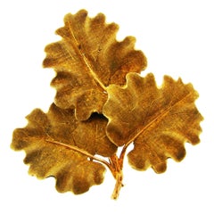1950s Mario Buccellati Gold Oak Leaves Clip Pin Brooch